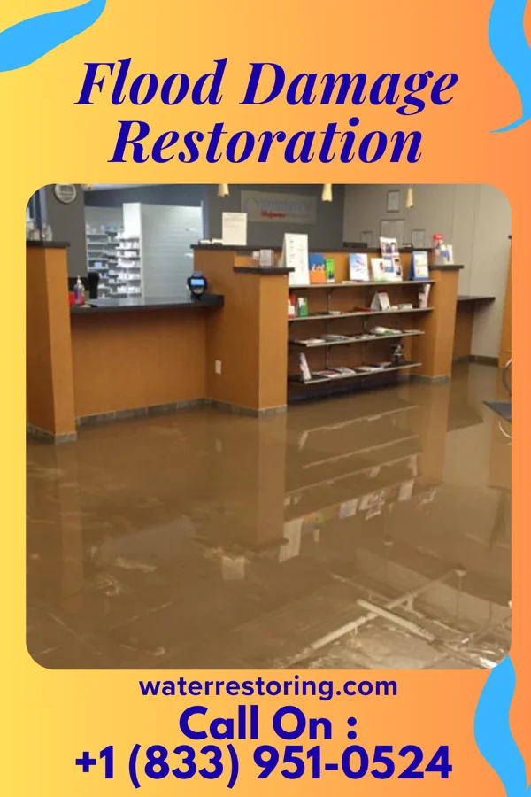 Flood Damage Restoration in Pioneer, LA